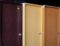 Access Systems